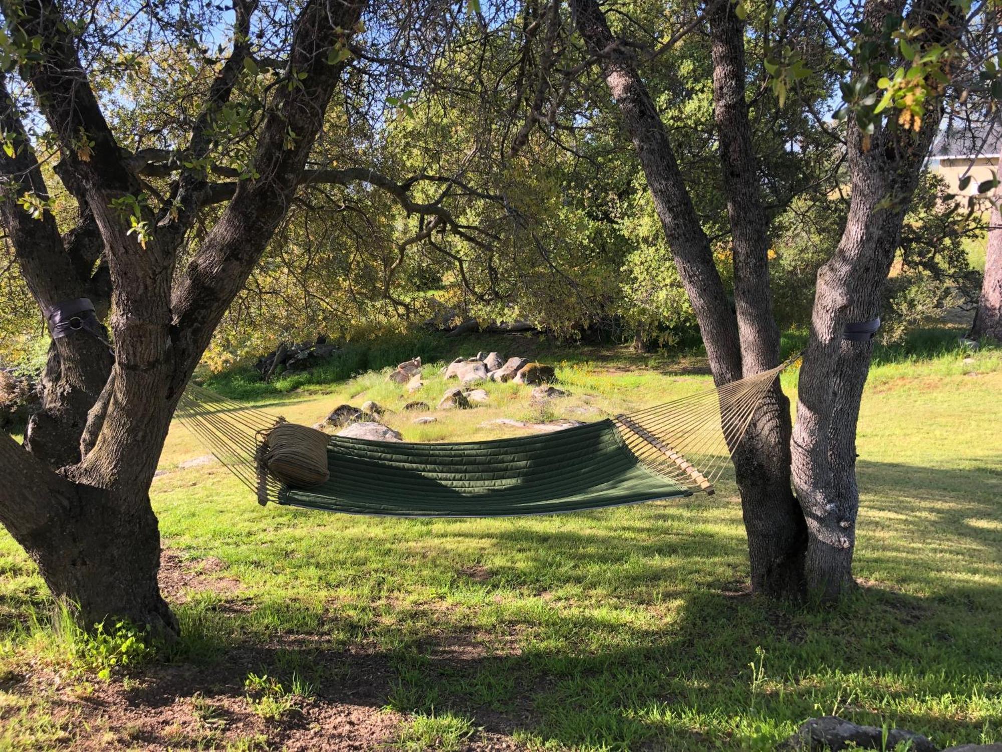 Apartament Oak Retreat By Yosemite National Park Coarsegold Zewnętrze zdjęcie